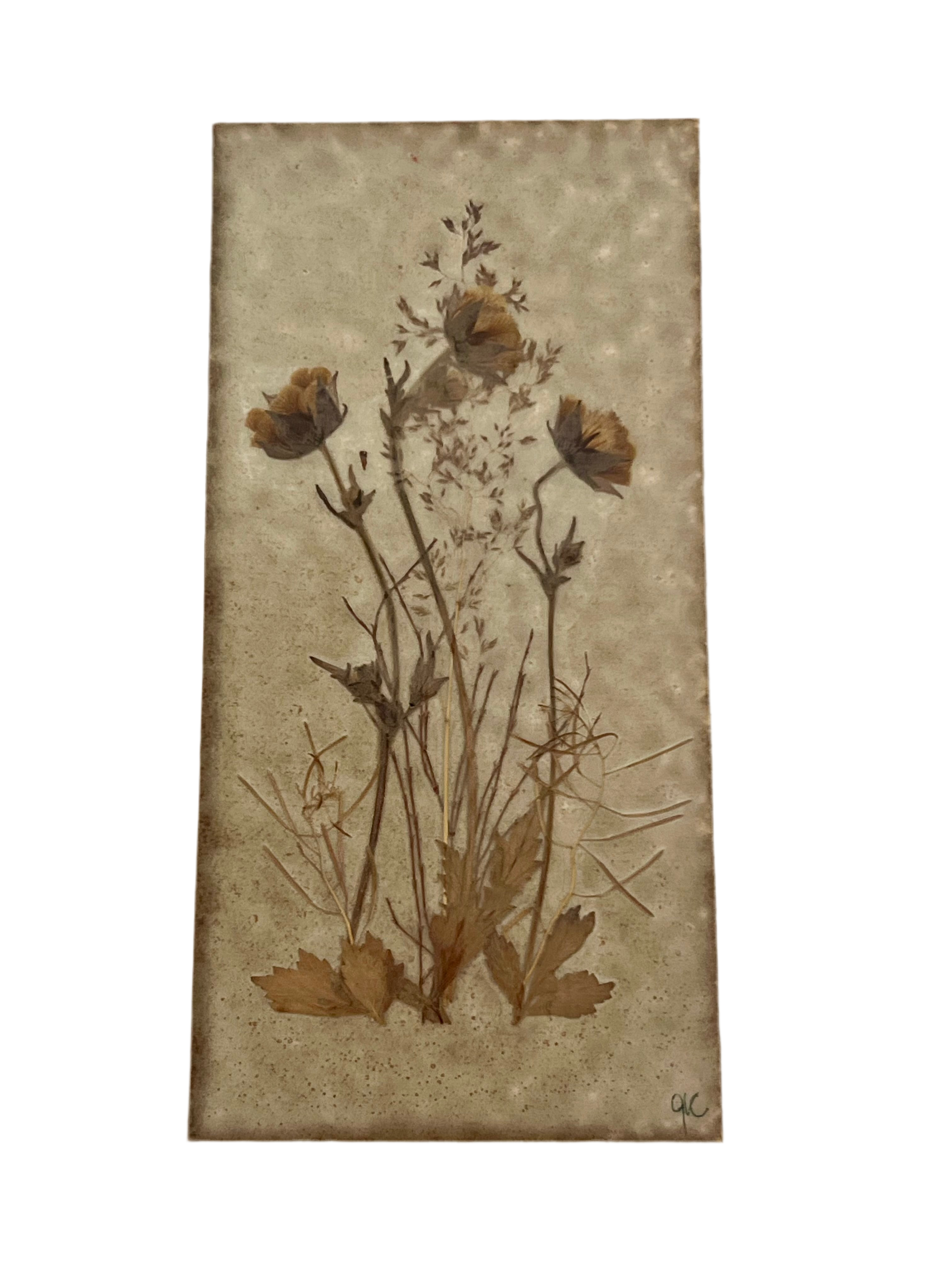 VINTAGE DANISH HANDICRAFT PRESSED FLOWER CERAMIC WALL PLAQUE — GEUM RIVALE — SCANDINAVIAN BOTANICAL ART