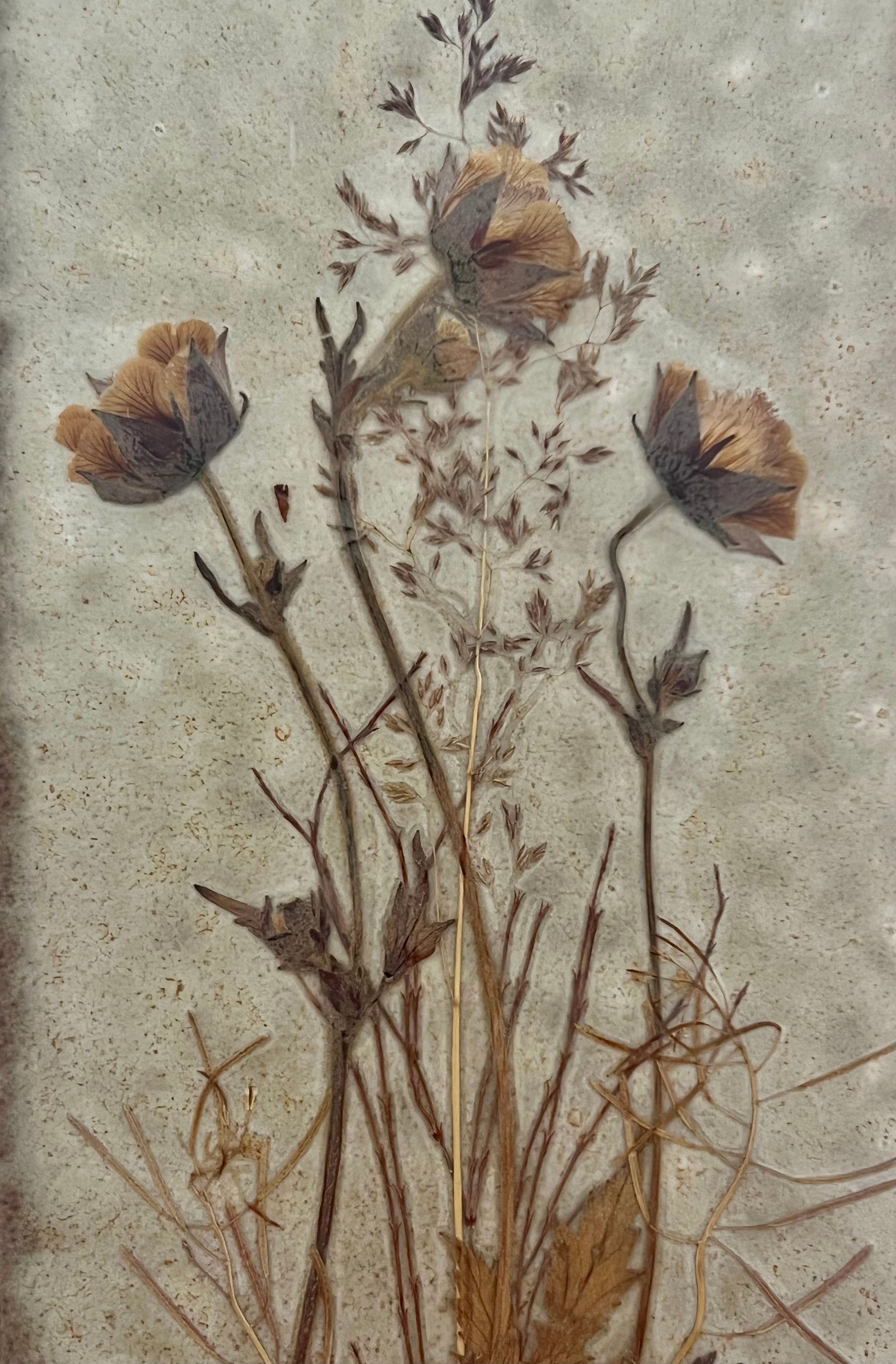 VINTAGE DANISH HANDICRAFT PRESSED FLOWER CERAMIC WALL PLAQUE — GEUM RIVALE — SCANDINAVIAN BOTANICAL ART