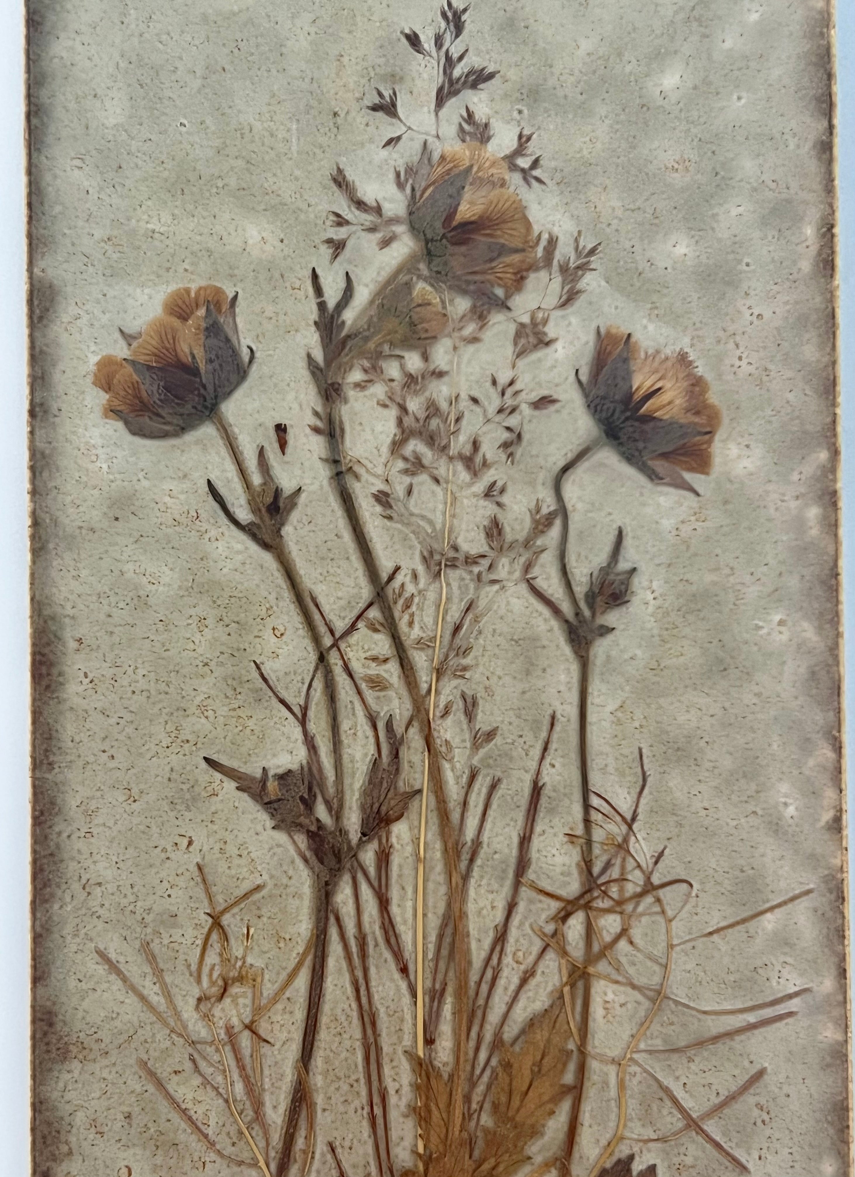 VINTAGE DANISH HANDICRAFT PRESSED FLOWER CERAMIC WALL PLAQUE — GEUM RIVALE — SCANDINAVIAN BOTANICAL ART
