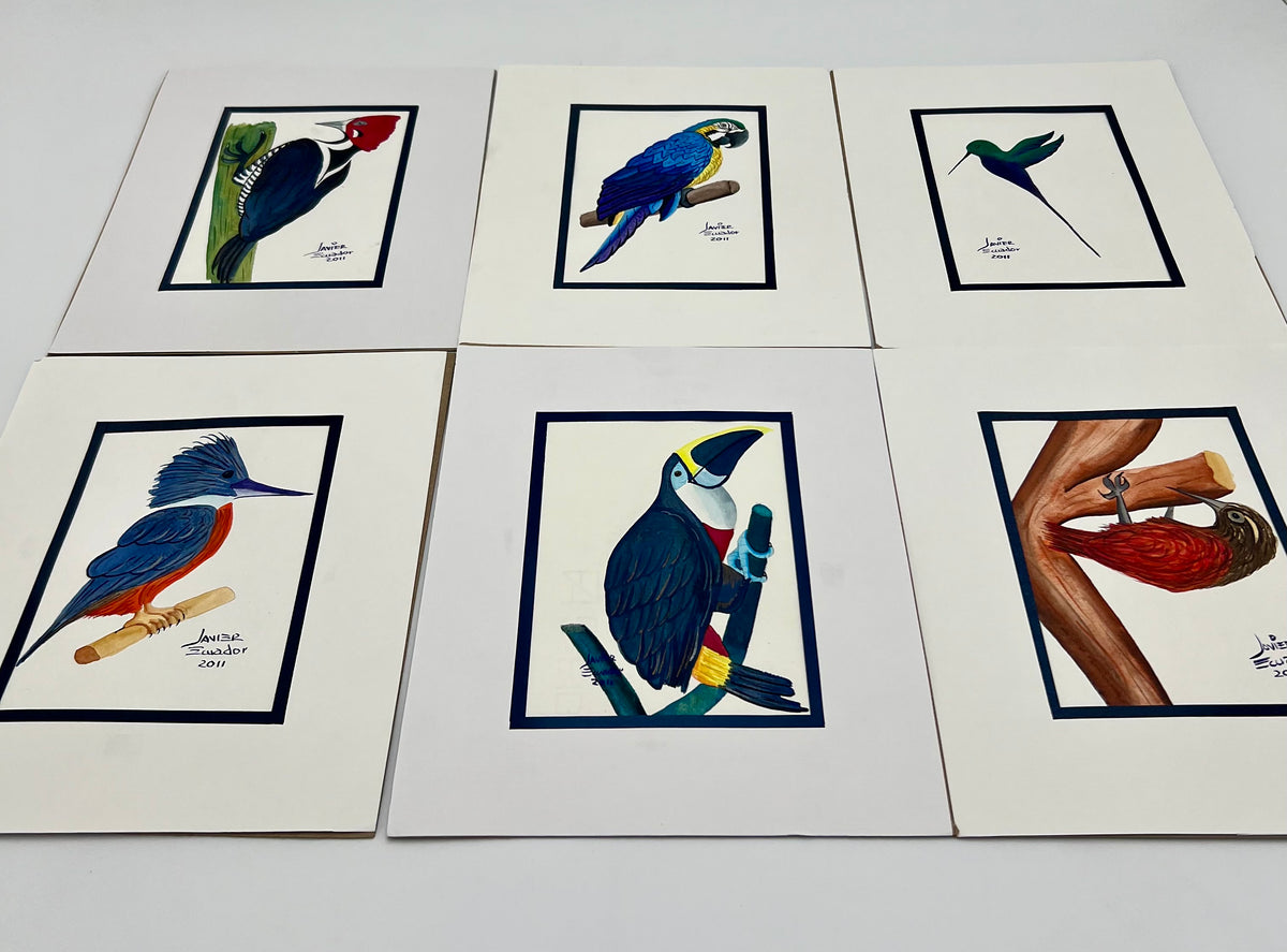 SET OF SIX 4X6 BIRDS OF EQUADOR ORIGINAL JAVIER PAINTINGS