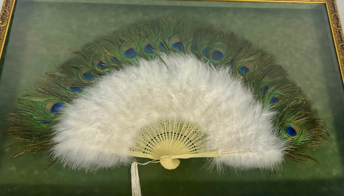FRAMED VINATGE PEACOCK FEATHER FAN