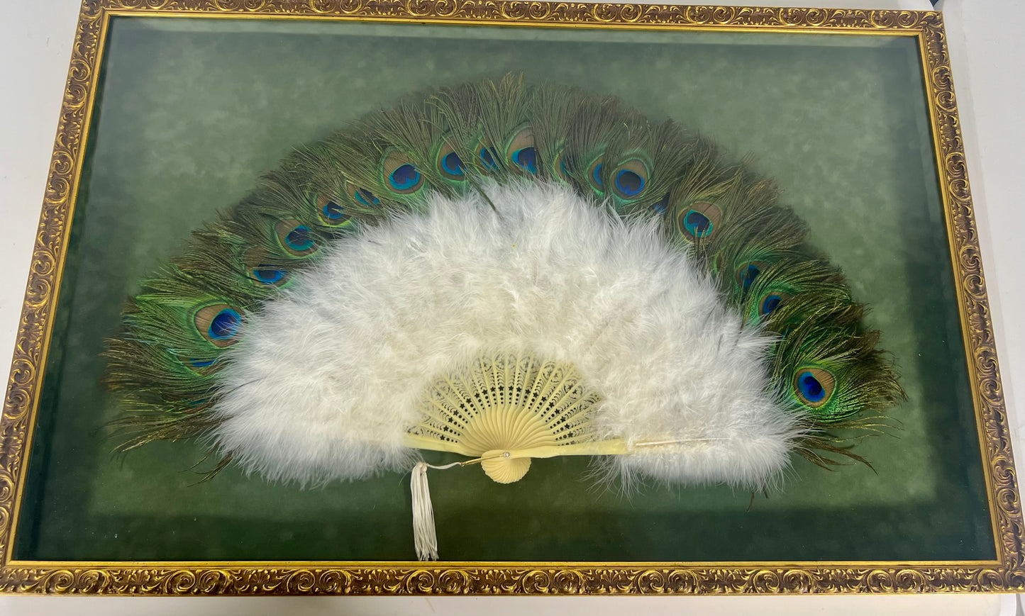 FRAMED VINATGE PEACOCK FEATHER FAN