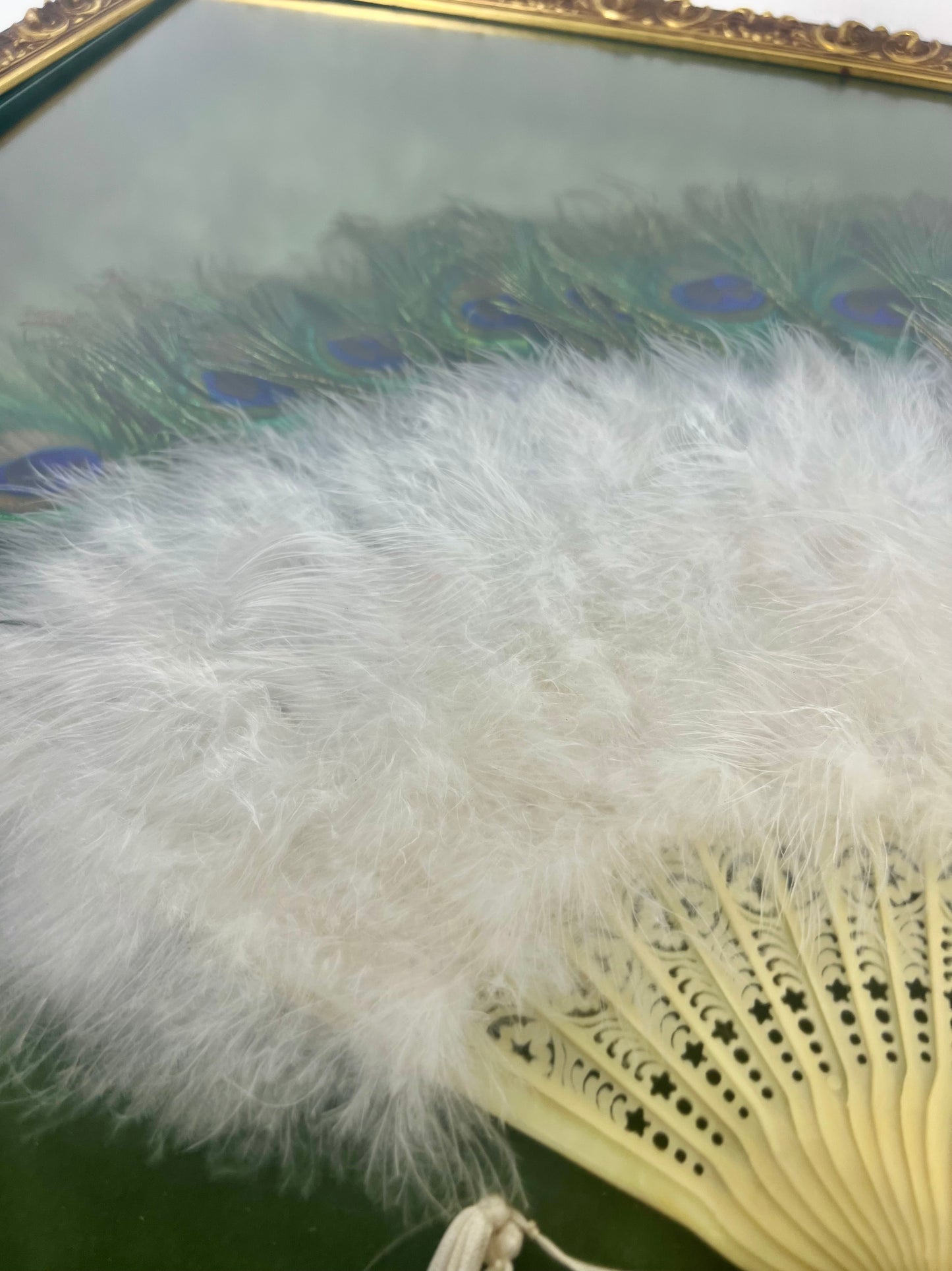 FRAMED VINATGE PEACOCK FEATHER FAN