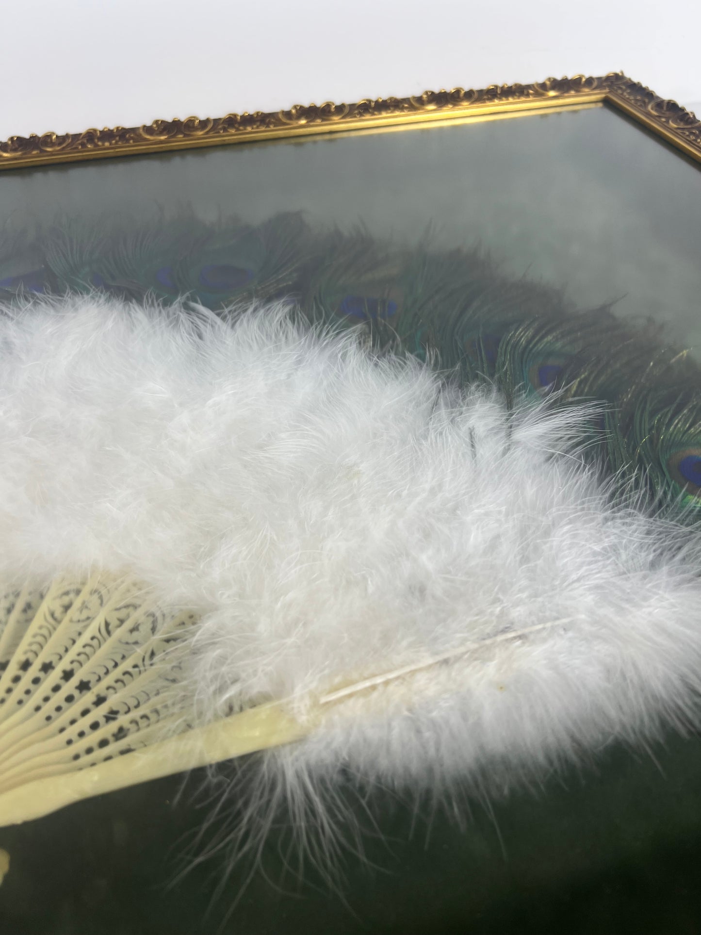 FRAMED VINATGE PEACOCK FEATHER FAN