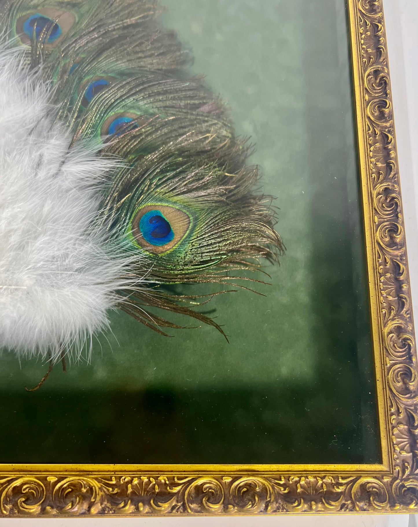 FRAMED VINATGE PEACOCK FEATHER FAN