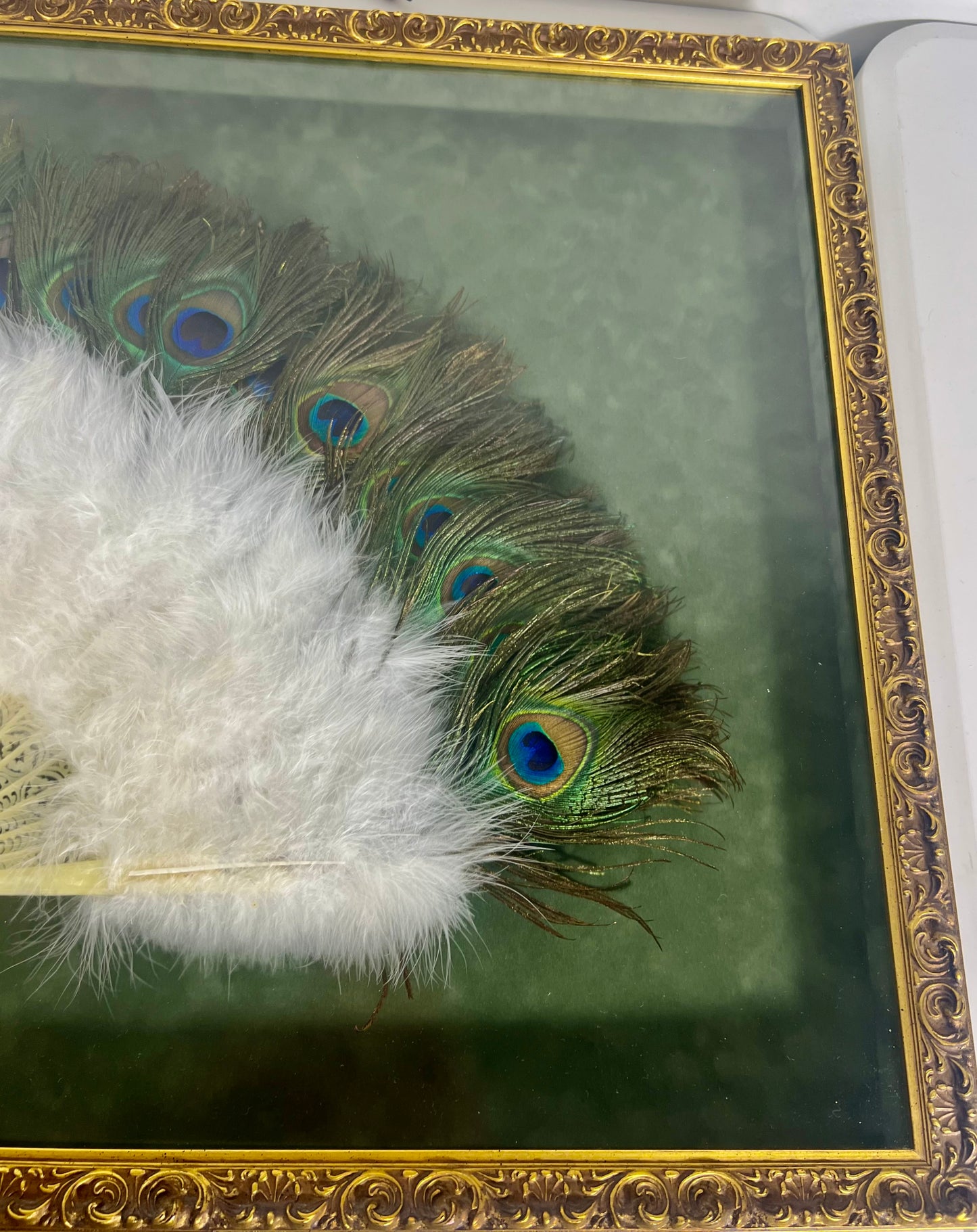 FRAMED VINATGE PEACOCK FEATHER FAN