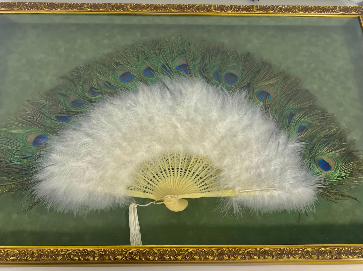 FRAMED VINATGE PEACOCK FEATHER FAN