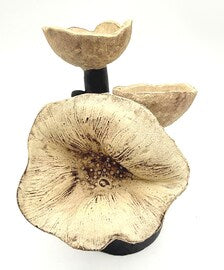 JES DOUGHERTY HANDBUILT BOTANICAL CERAMIC SCULPTURE | HOUSTON TEXAS STUDIO ART