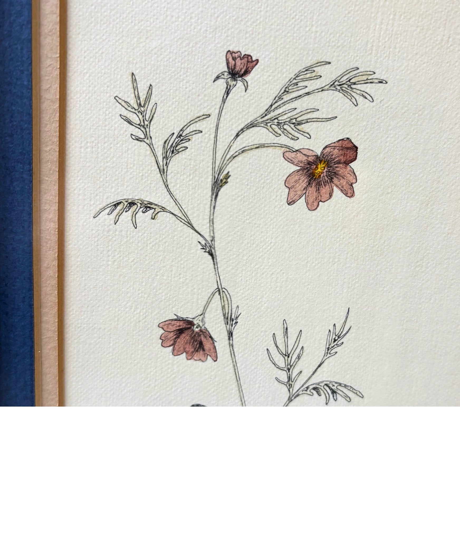VINTAGE BOTANICAL BUTTERFLY WALL ART IN GOLD FRAME WITH BLUE MAT