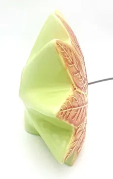 VINTAGE CERAMIC LEAF TV LAMP | MID-CENTURY MODERN AMBIENT LIGHT
