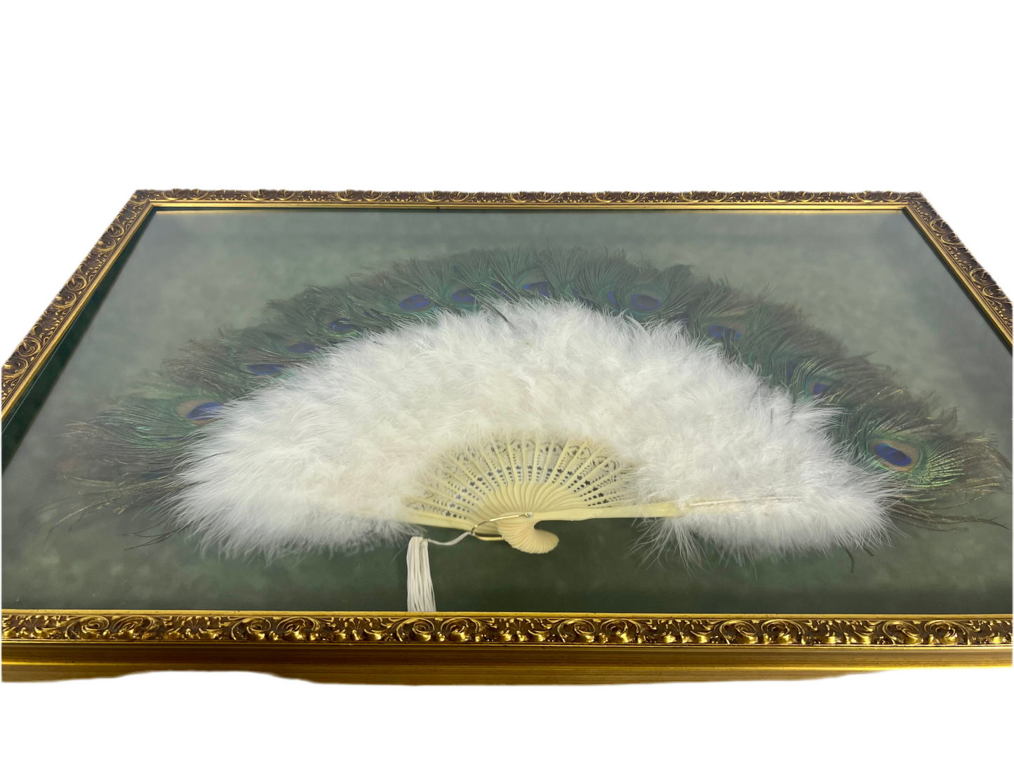 FRAMED VINATGE PEACOCK FEATHER FAN