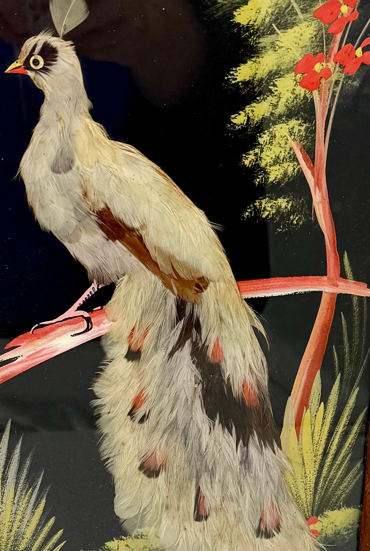 VINTAGE MEXICAN FEATHER ART – HANDCRAFTED EXOTIC BIRD PAIR IN CARVED WOOD FRAMES | MID-CENTURY FOLK ART