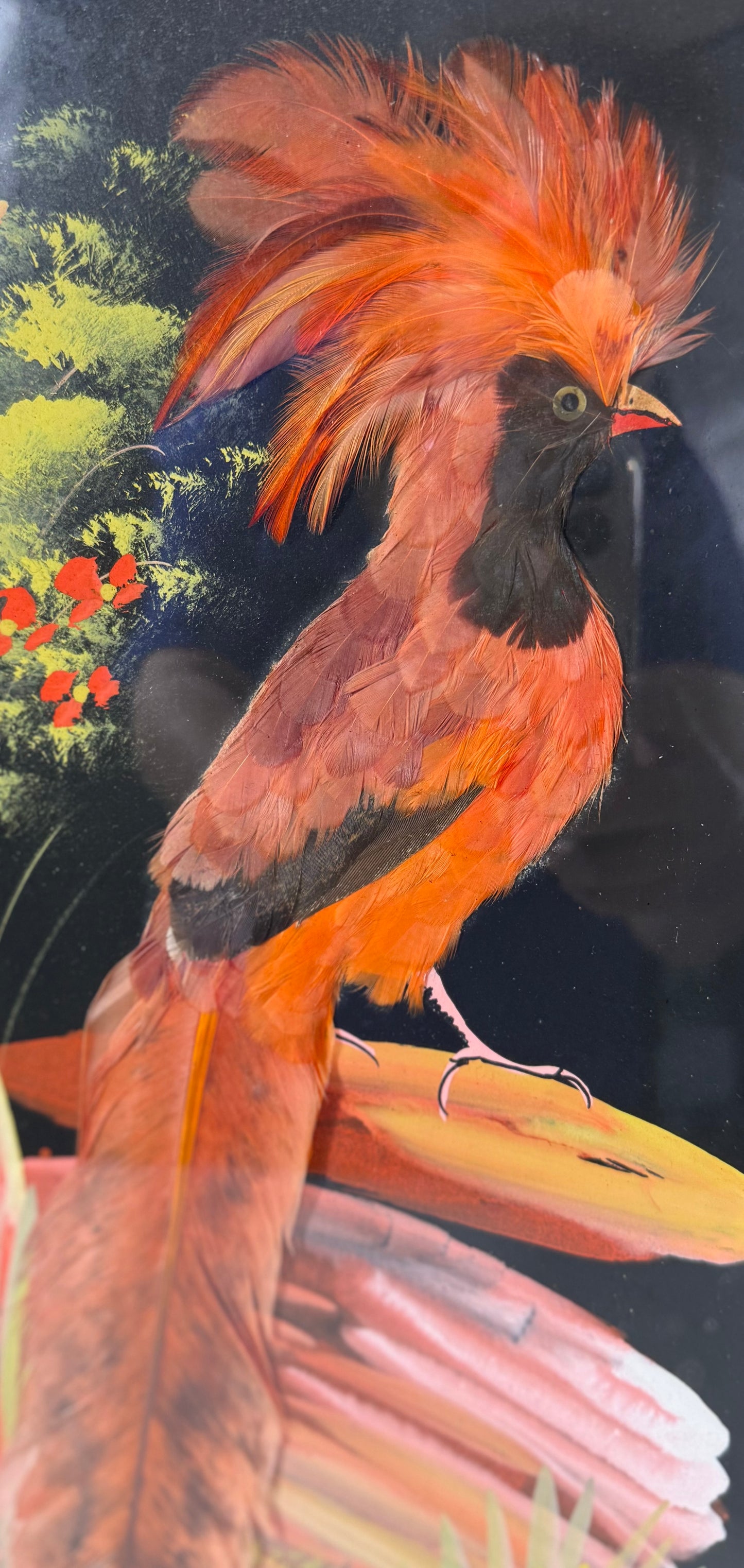 VINTAGE MEXICAN FEATHER ART – HANDCRAFTED EXOTIC BIRD PAIR IN CARVED WOOD FRAMES | MID-CENTURY FOLK ART