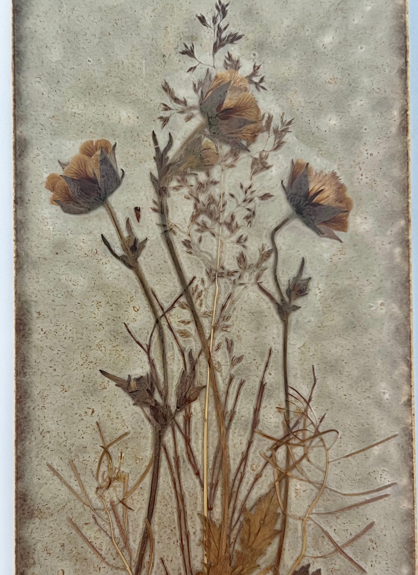BOHO MIDCENTURY ARTISIT SIGNED DANISH - PRESSED FLOWER WALL PLAQUE