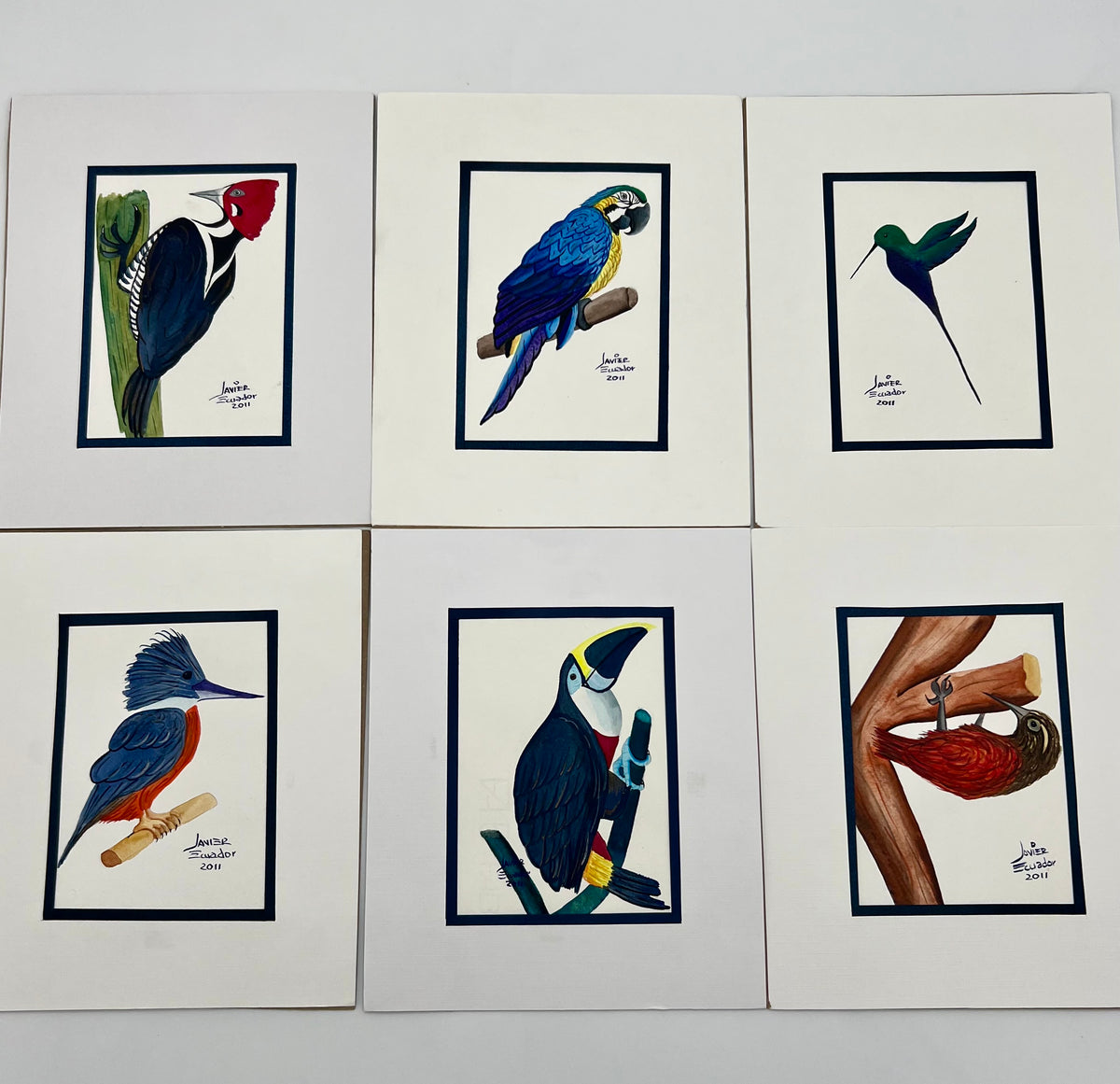 SET OF SIX 4X6 BIRDS OF EQUADOR ORIGINAL JAVIER PAINTINGS