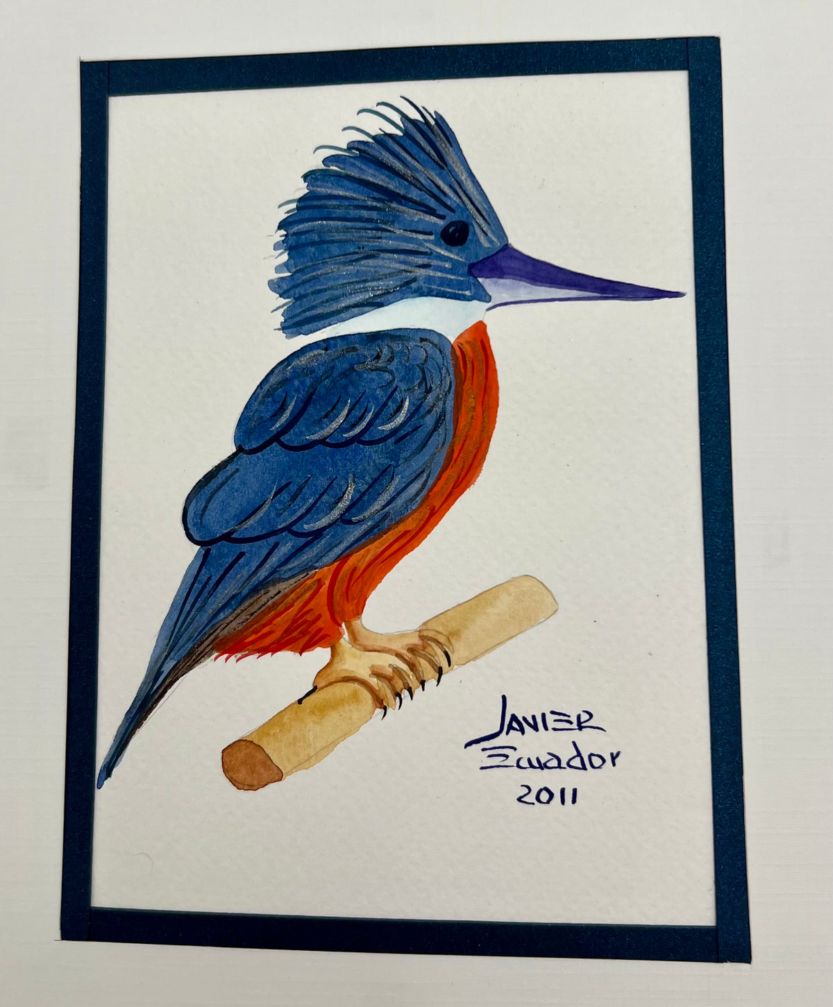 SET OF SIX 4X6 BIRDS OF EQUADOR ORIGINAL JAVIER PAINTINGS
