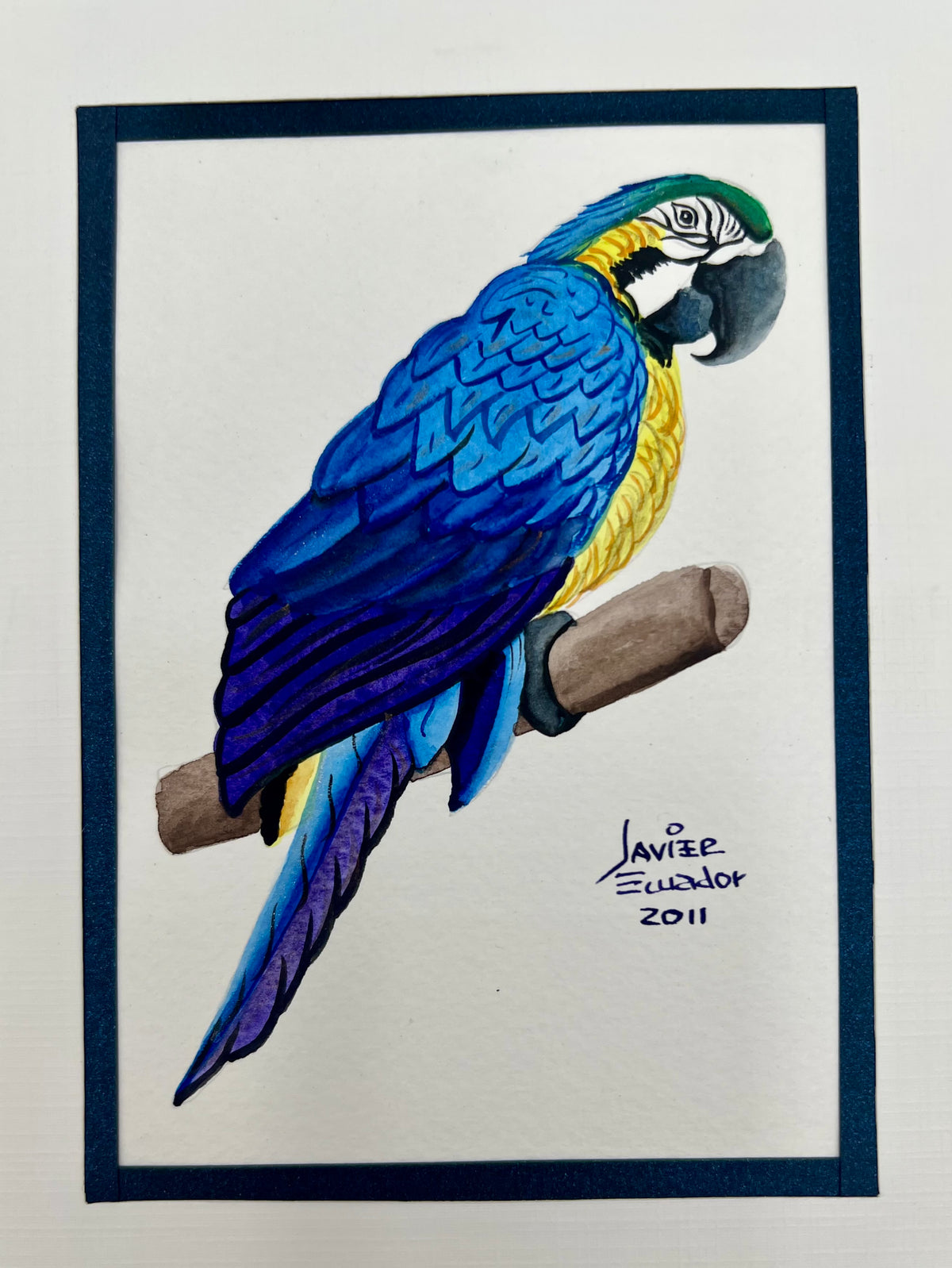 SET OF SIX 4X6 BIRDS OF EQUADOR ORIGINAL JAVIER PAINTINGS