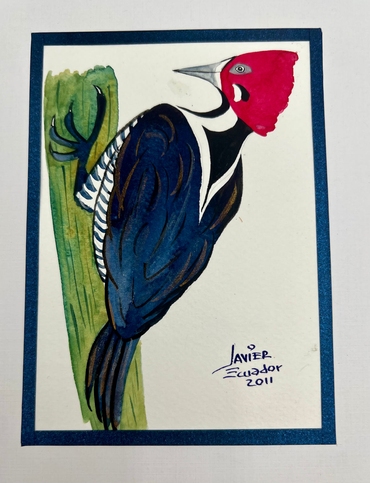 SET OF SIX 4X6 BIRDS OF EQUADOR ORIGINAL JAVIER PAINTINGS