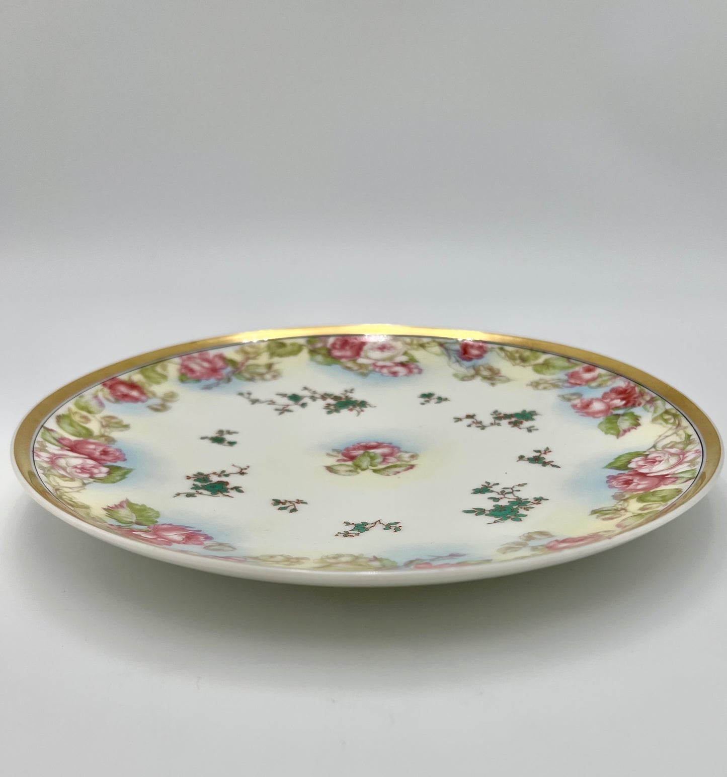 ANTIQUE HAVILAND LIMOGES PORCELAIN DECRATIVE PLATE, CIRCA 1876-1930s