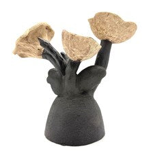 JES DOUGHERTY HANDBUILT BOTANICAL CERAMIC SCULPTURE | HOUSTON TEXAS STUDIO ART