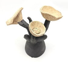 JES DOUGHERTY HANDBUILT BOTANICAL CERAMIC SCULPTURE | HOUSTON TEXAS STUDIO ART