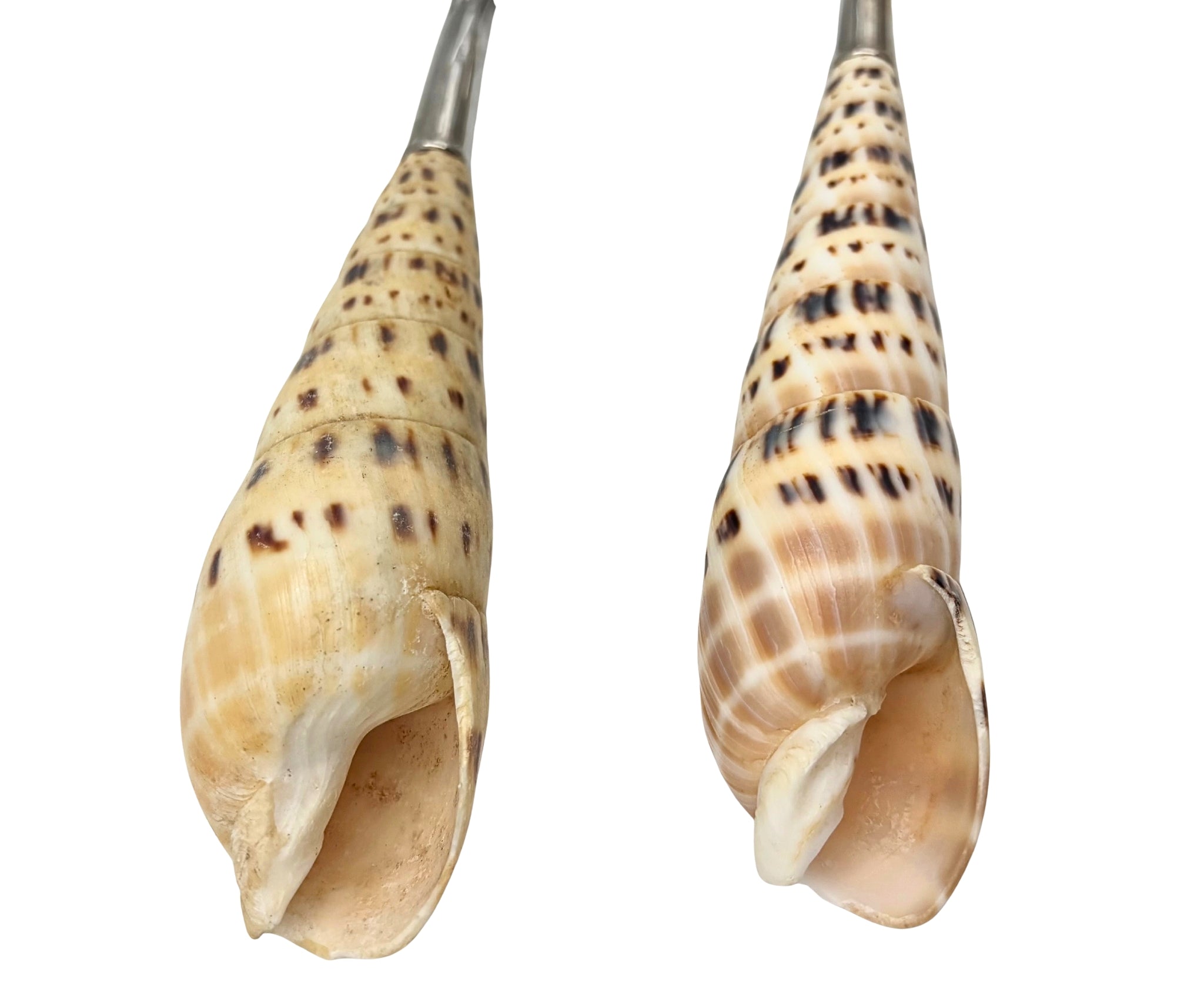 VINTAGE MUD PIE NATURAL AUGER SHELL SALAD SERVERS – TWO-PIECE COASTAL SERVING SET