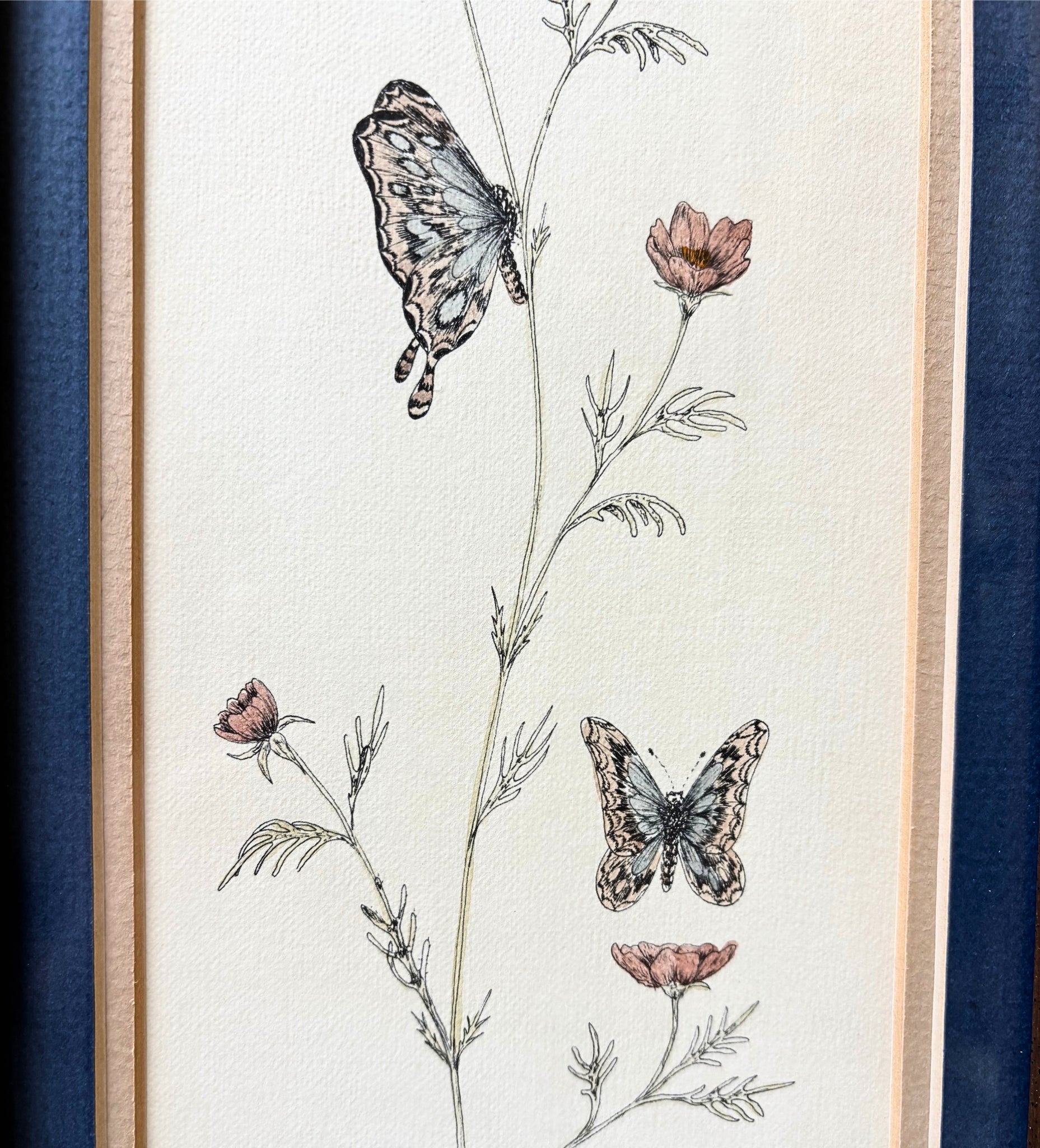VINTAGE BOTANICAL BUTTERFLY WALL ART IN GOLD FRAME WITH BLUE MAT