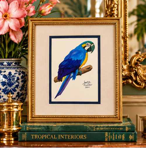 Original Macaw Bird Painting by Javier – Signed Ecuadorian Tropical Art, 2011