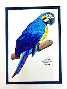 Original Macaw Bird Painting by Javier – Signed Ecuadorian Tropical Art, 2011