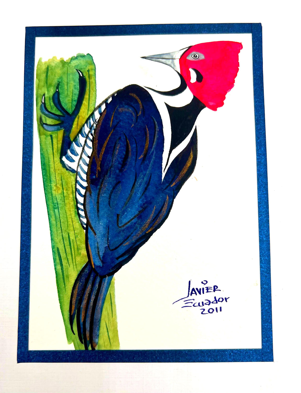 Original Ecuadorian Woodpecker Painting by Javier – Signed 2011 Tropical Bird Art