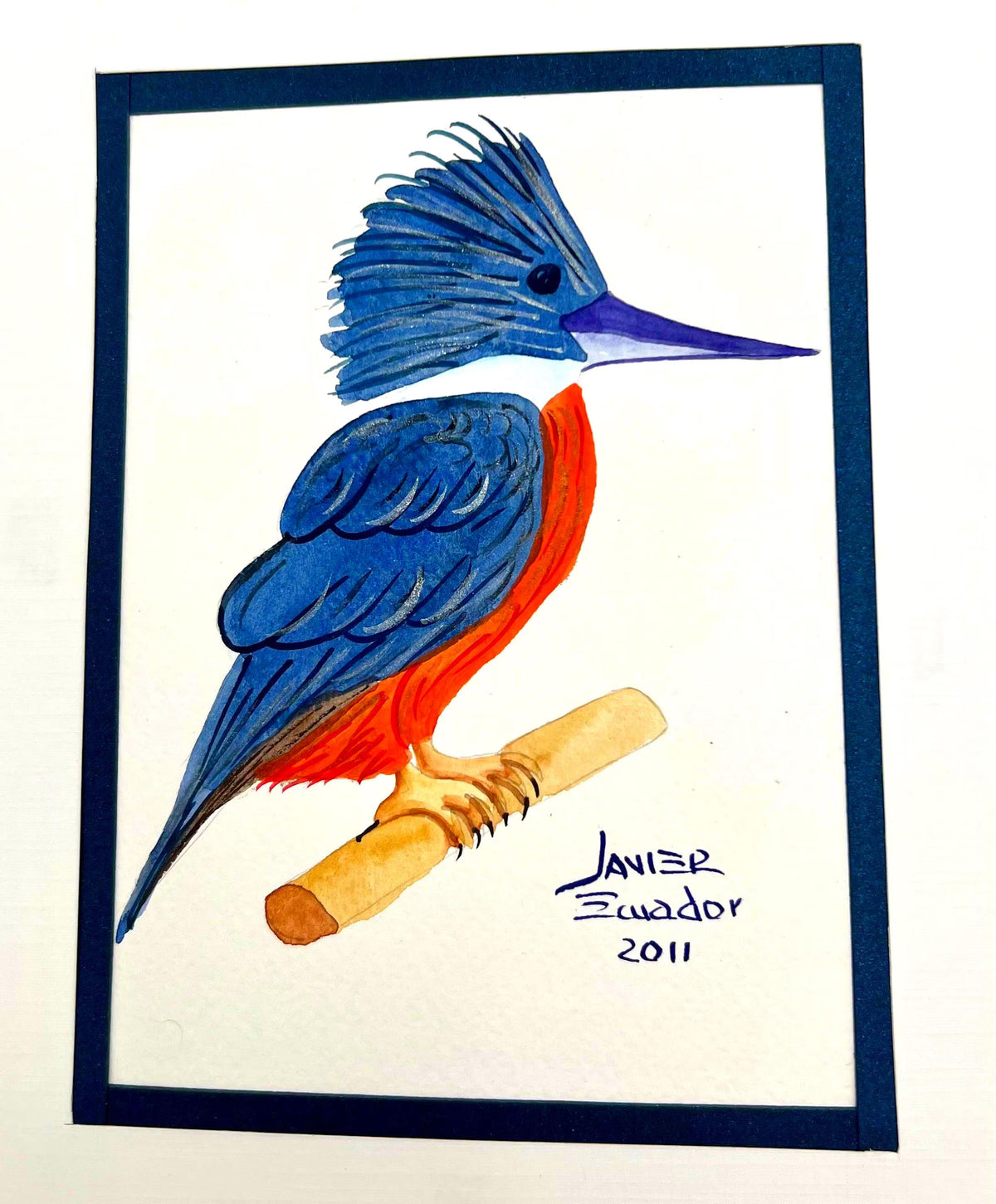 Original Kingfisher Bird Painting by Javier – Signed 2011 Ecuadorian Tropical Wildlife Art